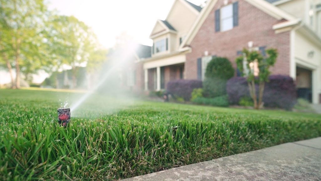 Lawn Care And Irrigation Services